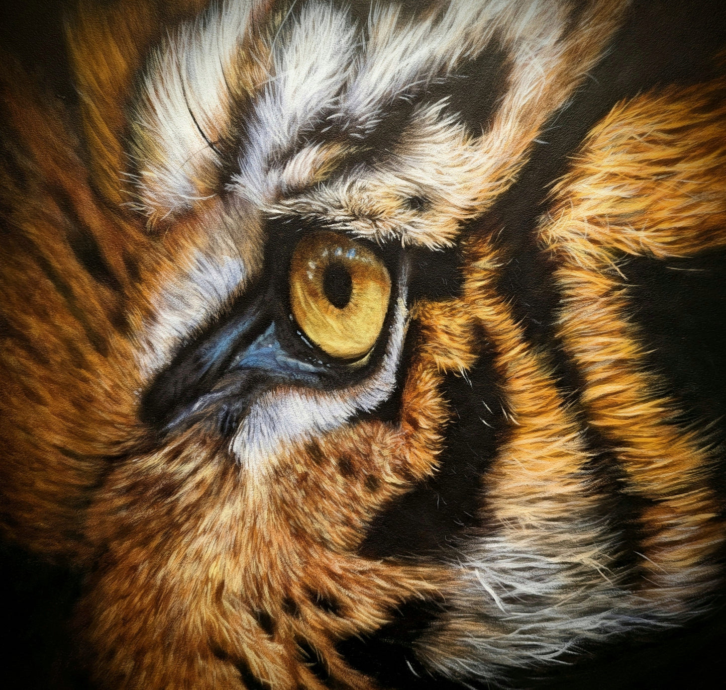 Tigers eye (acrylics)